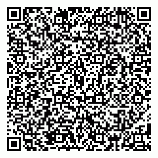 vCard 79185010569