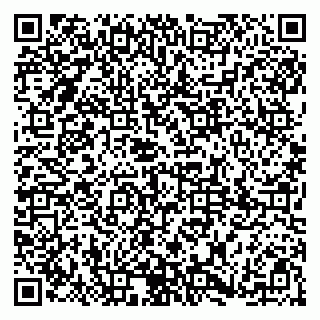 vCard 79185010981