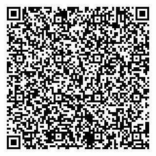 vCard 79185011713
