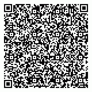 vCard 79185012381