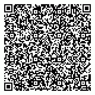 vCard 79185012803