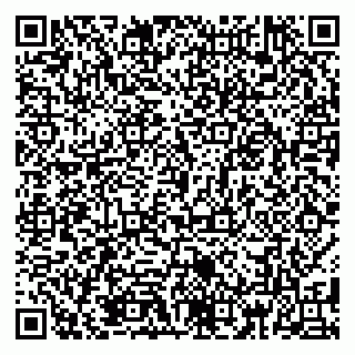 vCard 79185012863