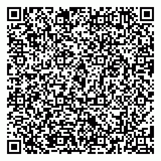vCard 79185013000