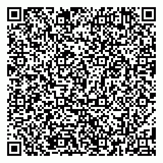 vCard 79185013001