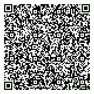 vCard 79185013004