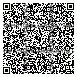 vCard 79185013008