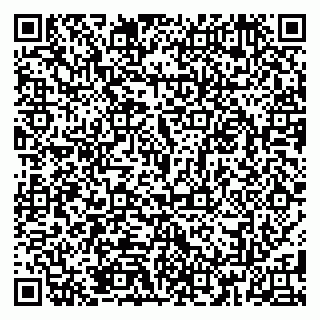 vCard 79185013009