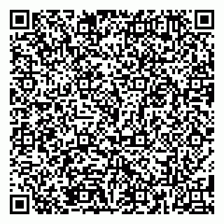 vCard 79185013010