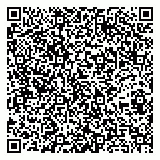 vCard 79185013017