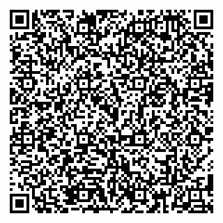 vCard 79185013028