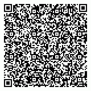 vCard 79185013029