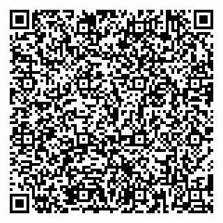 vCard 79185013033