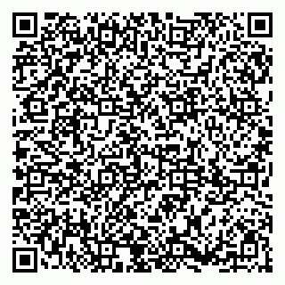vCard 79185013035