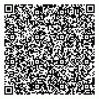 vCard 79185013040