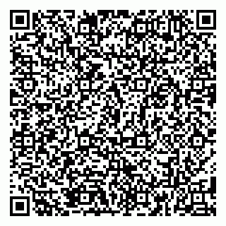 vCard 79185013055