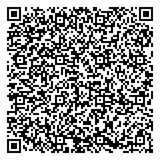 vCard 79185013070