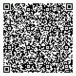 vCard 79185013075