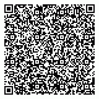 vCard 79185013084