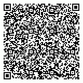 vCard 79185013101