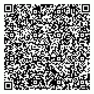 vCard 79185013201