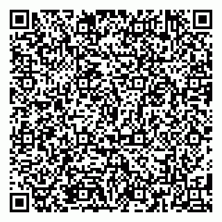 vCard 79185013203