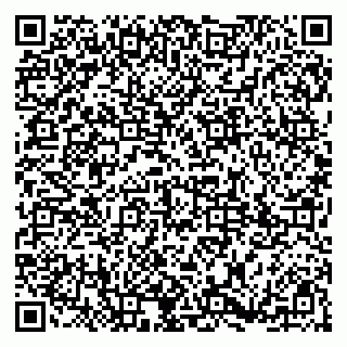 vCard 79185013216