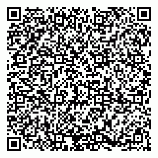 vCard 79185013218