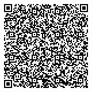 vCard 79185013279