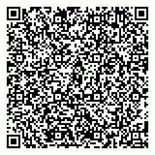 vCard 79185013301