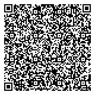 vCard 79185013311