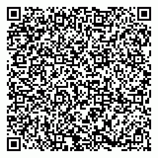 vCard 79185013312