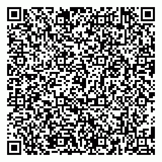 vCard 79185013313