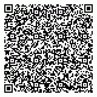 vCard 79185013329
