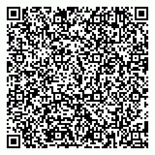 vCard 79185013331