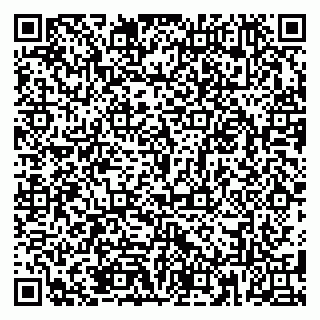 vCard 79185013334