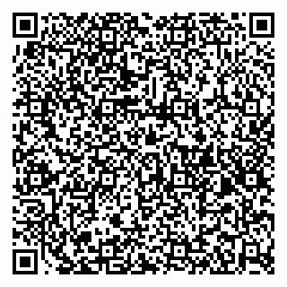 vCard 79185013336