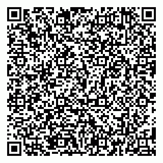 vCard 79185013341