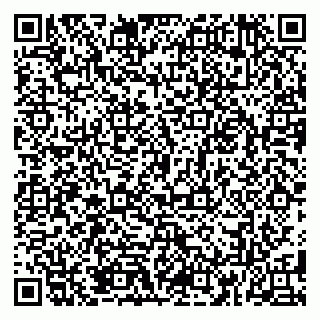vCard 79185013351