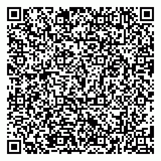 vCard 79185013355