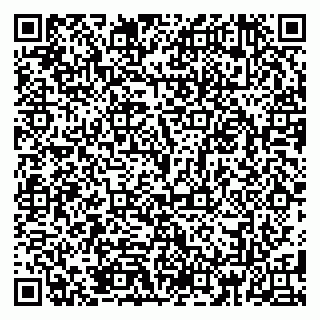 vCard 79185013361