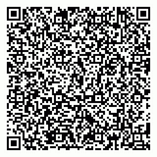 vCard 79185013363