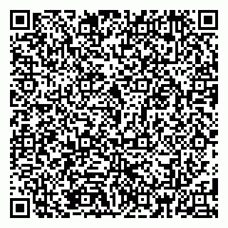 vCard 79185013369
