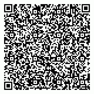 vCard 79185013373