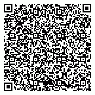 vCard 79185013375