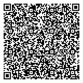 vCard 79185013377