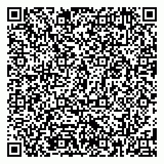 vCard 79185013379