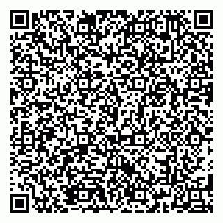 vCard 79185013380