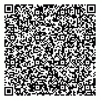 vCard 79185013381