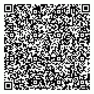 vCard 79185013382