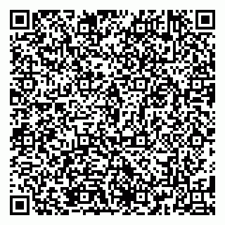 vCard 79185013383